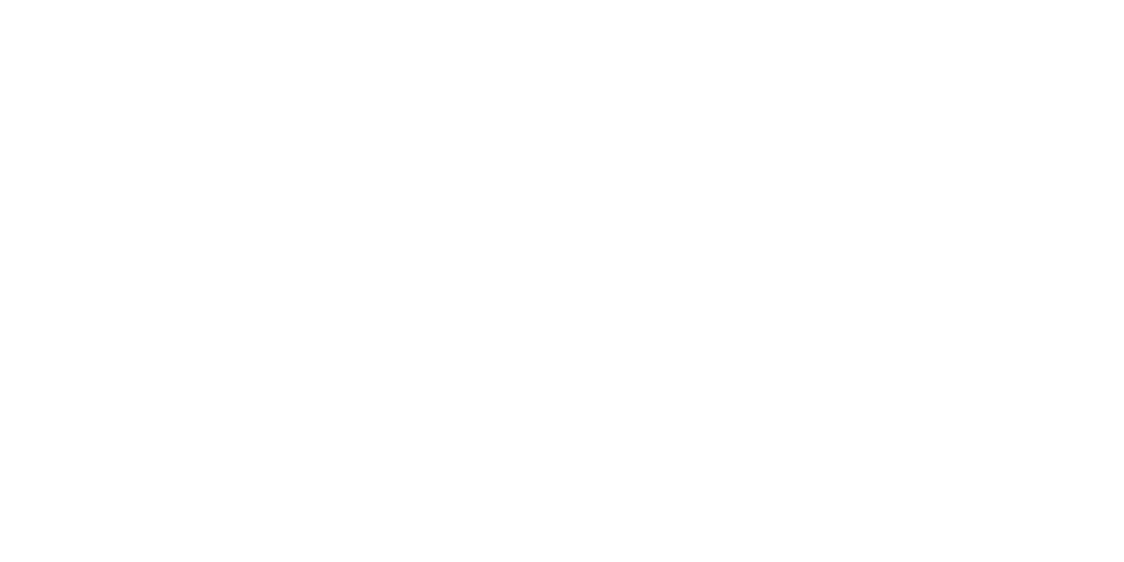 FLYXCITY